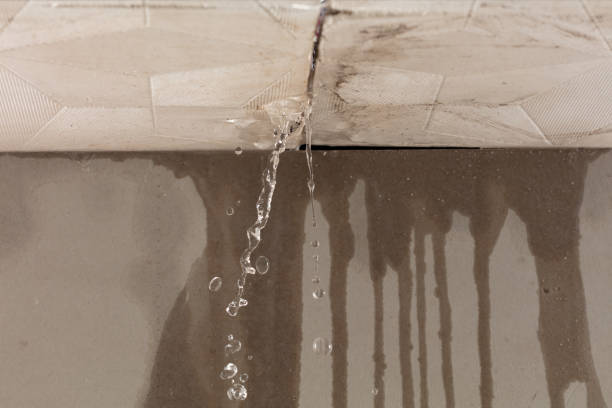 Professional Water Extraction technician working in Freehold, NY